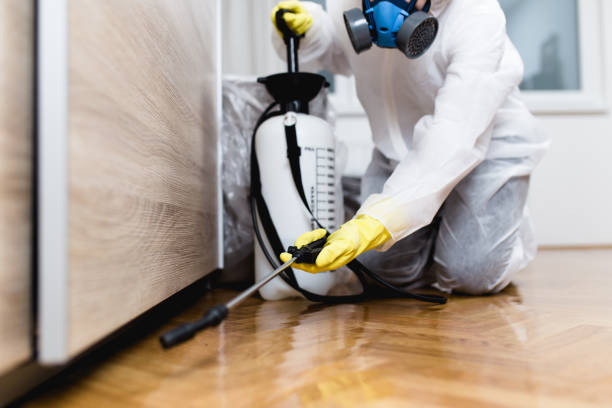 Best Pest Prevention Services  in Belle Rose, LA