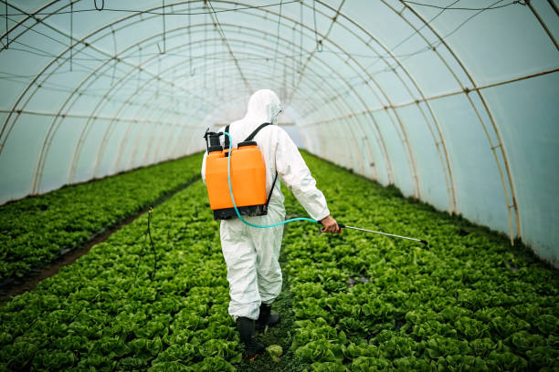 Pest Prevention Services in Belle Rose, LA