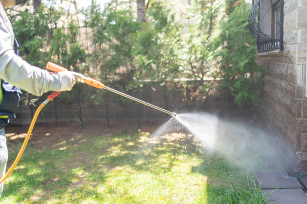 Best Affordable Pest Control Services  in Belle Rose, LA