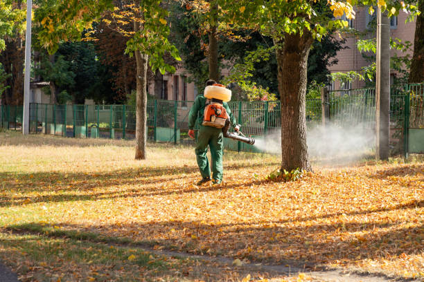 Flea Control Services in Belle Rose, LA